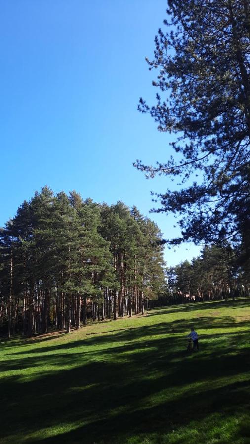 Apartmani Sloboda Zlatibor Exterior photo